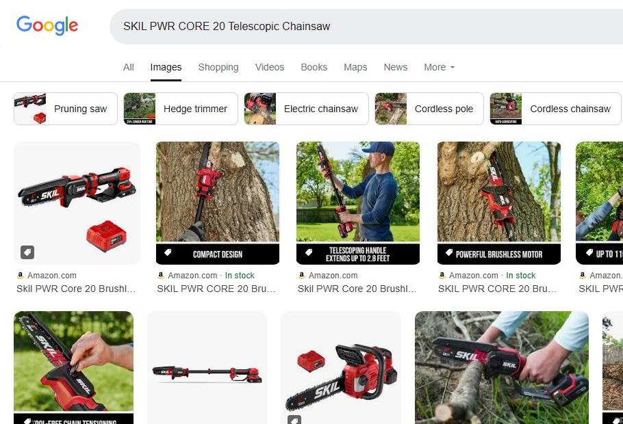 SKIL Telescopic Chainsaw Options
