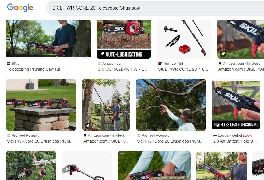 SKIL Telescopic Chainsaw Products Shown Online